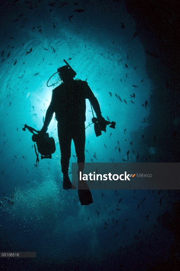 Silueta de buceo turístico, Isla del coco, Costa Rica