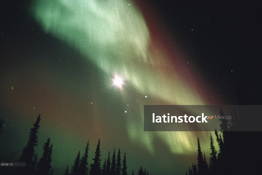 Aurora Boreal mostrando la estrella del norte y Big Dipper, Alaska