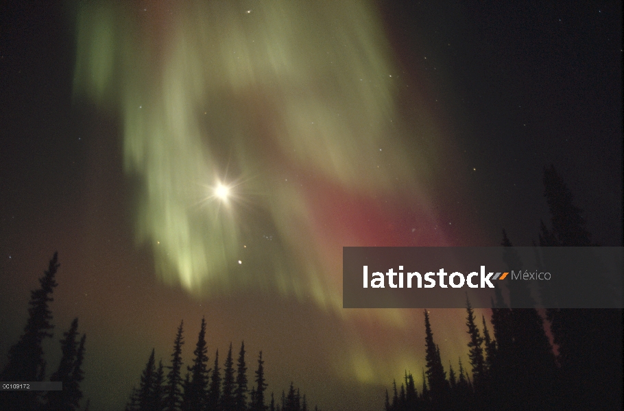 Aurora Boreal mostrando la estrella del norte y Big Dipper, Alaska