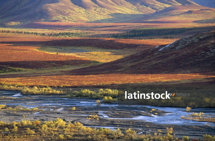 Tundra otoño, Parque Nacional de Denali y Preserve, Alaska