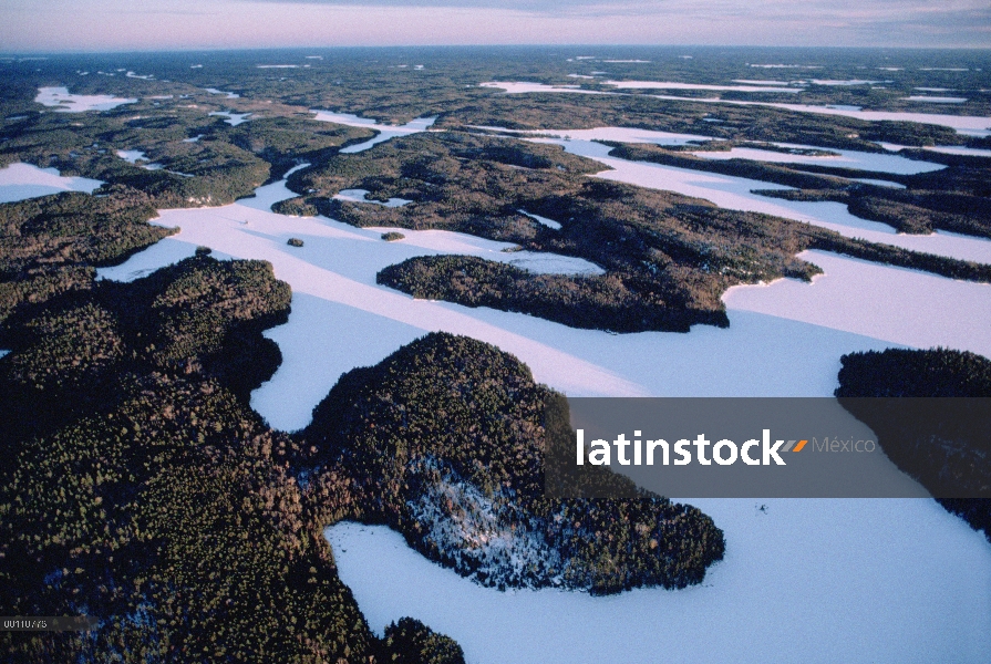 Bosque boreal y lagos congelados, límite aguas canoa zona desierto, Minnesota