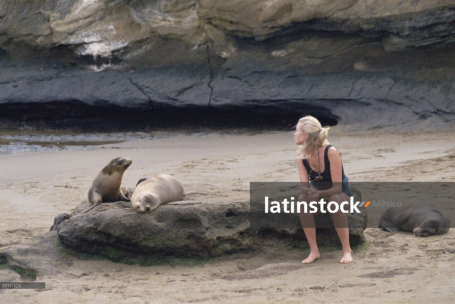 Lobos marinos de Galápagos (Zalophus wollebaeki) junto al turístico, Islas Galápagos, Ecuador