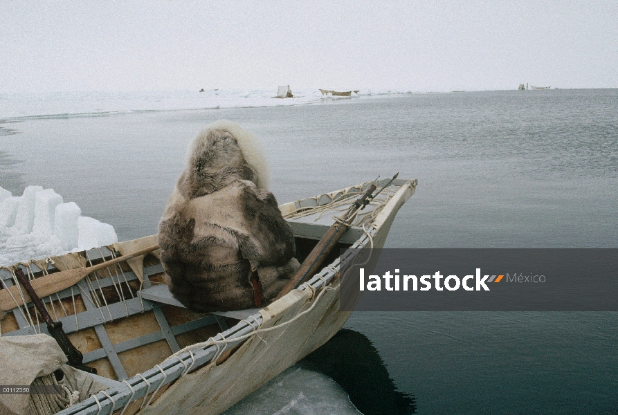 Cazador en Groenlandia ballena (Balaena mysticetus), un Inuit en la ropa tradicional se encuentra en