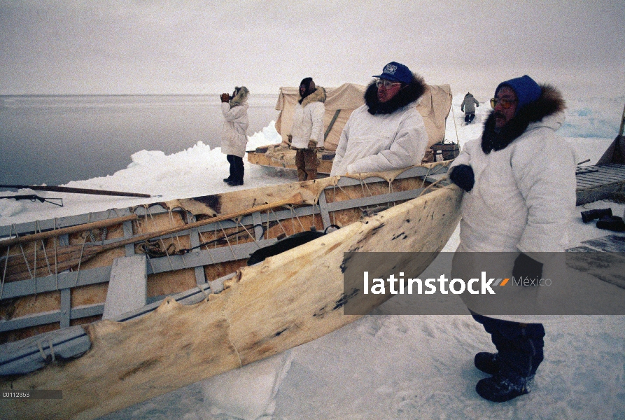 Cazadores de la ballena (Balaena mysticetus) de Groenlandia, Inuits tradicionales vestidos con piel 