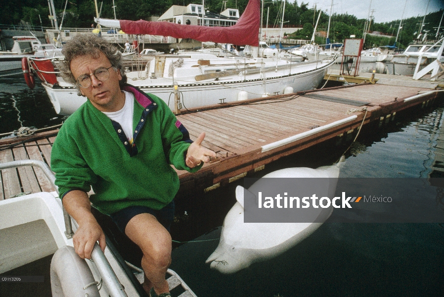 Toxicólogo Pierre Beland con embarazada muerta Ballena Beluga (Delphinapterus leucas), posiblemente 