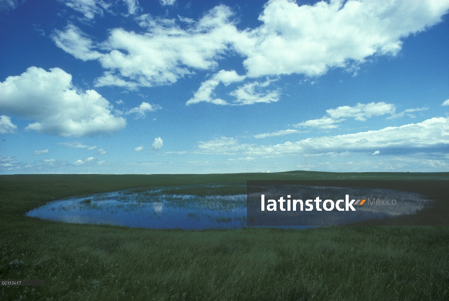 Pothole de la pradera, Ordway, Dakota del sur