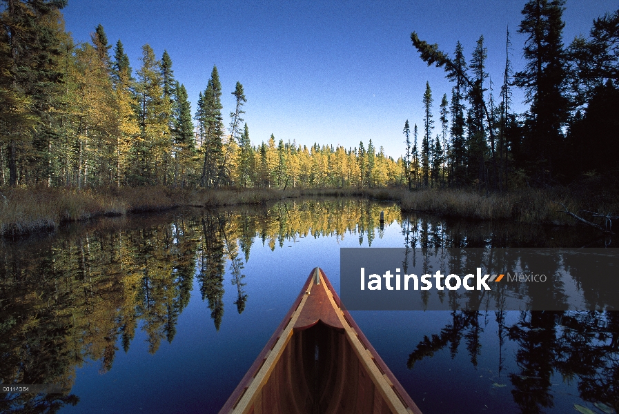 Proa de la canoa con árboles de otoño, descubrimiento de lago, el Bosque Nacional Superior, Minnesot