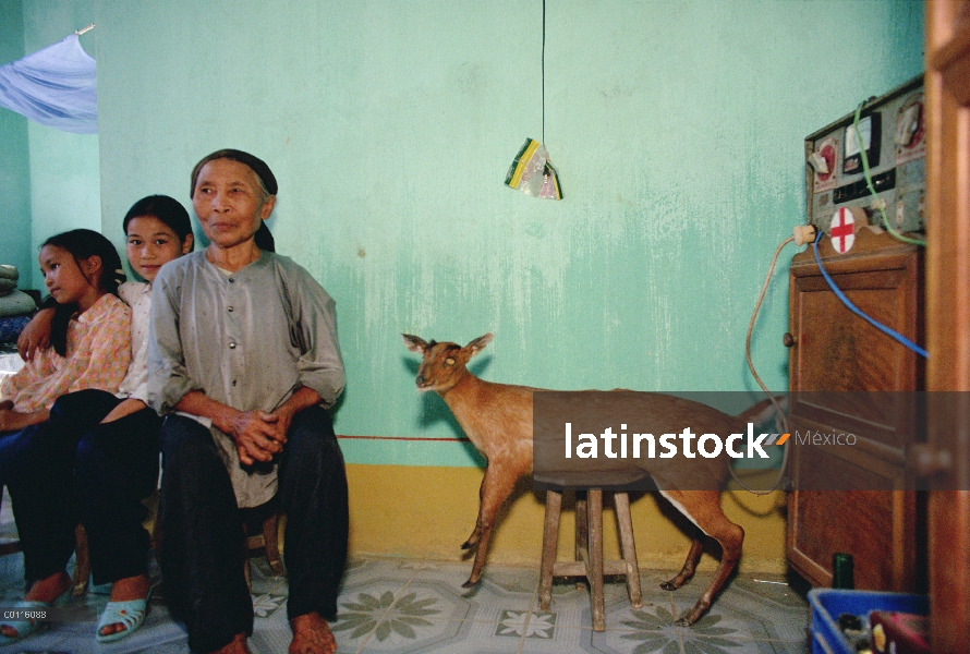 Colegialas Vu Hong Nhung y Hang Thi Thu comparten su hogar con un animal disecado de corza, Parque N