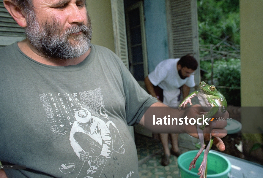 Ruso herpetólogo Nikolai Orlov con espuma de nido de rana (Polypedates dennysi) recién identificados