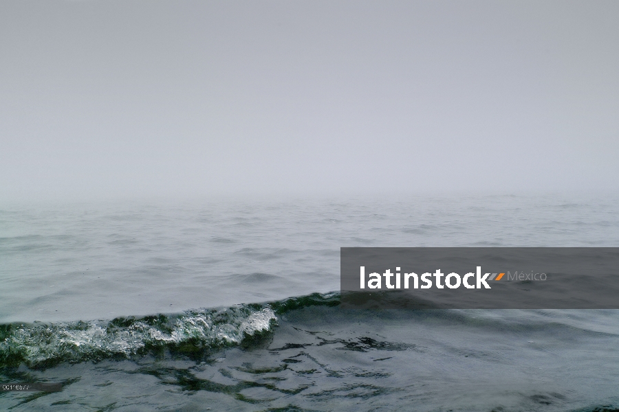 Onda y la niebla en el lago Superior, dormir gigante Provincial Park, Canadá