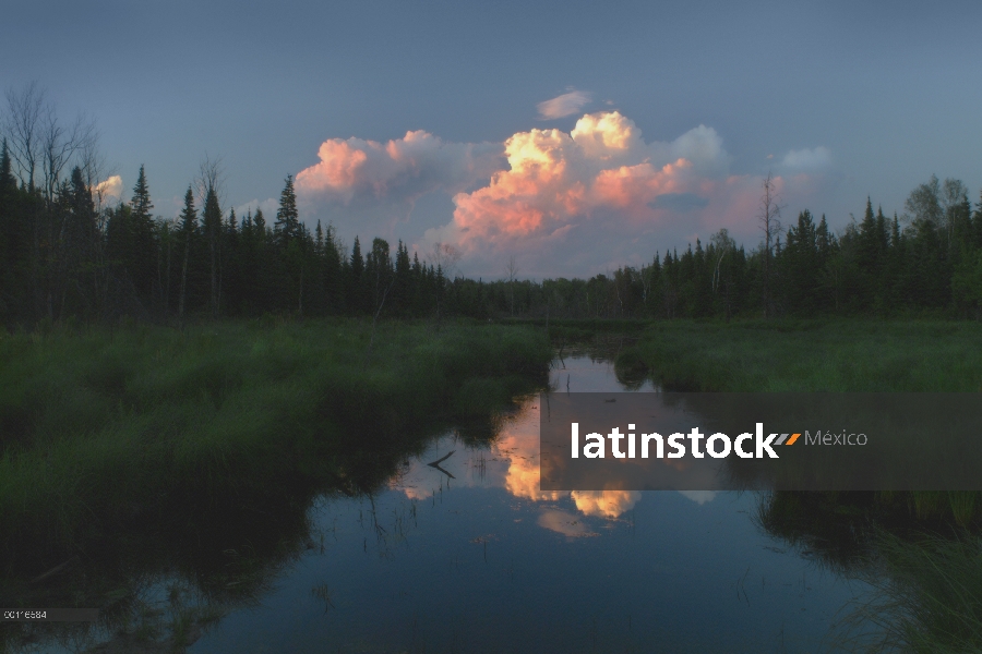 Puesta de sol sobre Mystery Creek, Northwoods, Minnesota