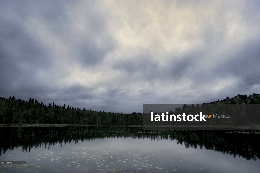 Tormenta sobre el lago, Minnesota Northwoods