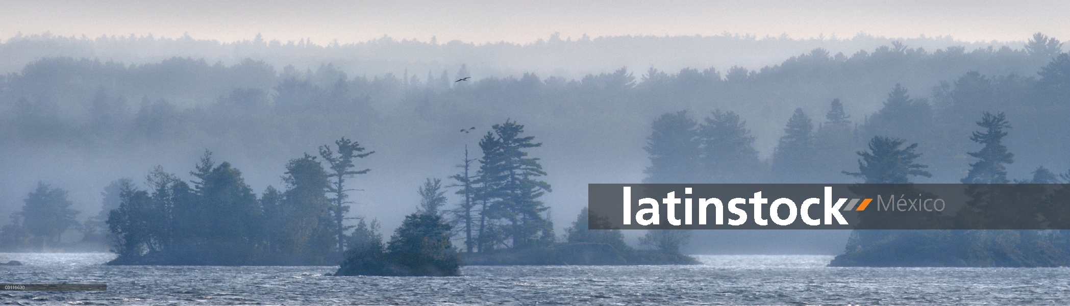 Islas del lago de Shagawa, límite aguas Canoe Area Wilderness, Minnesota