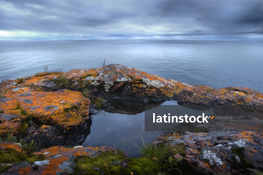 Pequeña piscina sobre las rocas cubierta de liquen con vistas al lago, Minnesota Northwoods