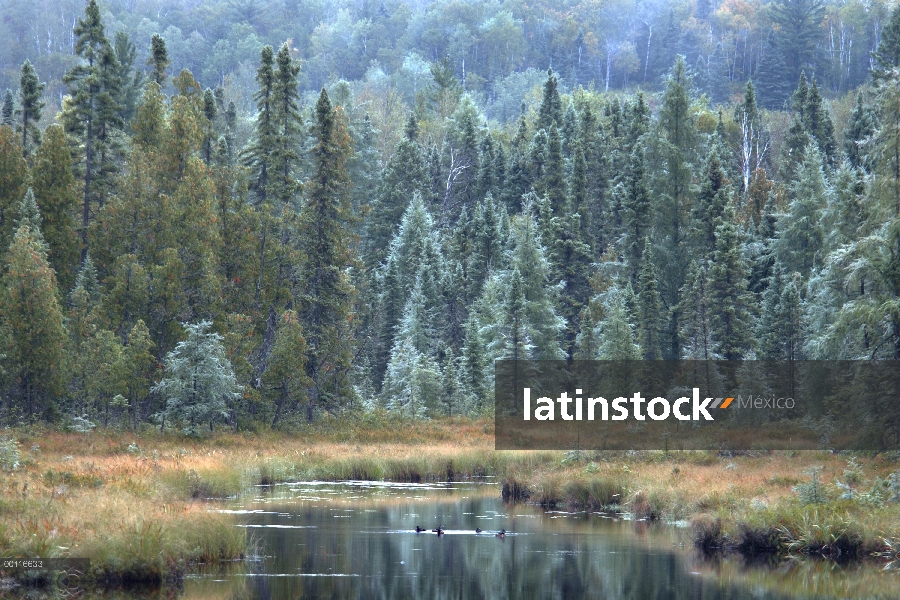 Río de bautismo, Northwoods, Minnesota