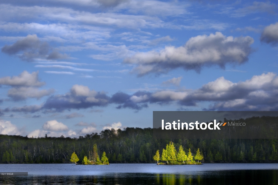 Sección 12 lago, límite de las aguas la canoa zona desierto, Minnesota