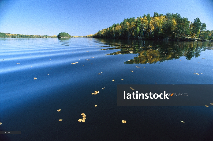 Lago con caída de hojas de color, Minnesota