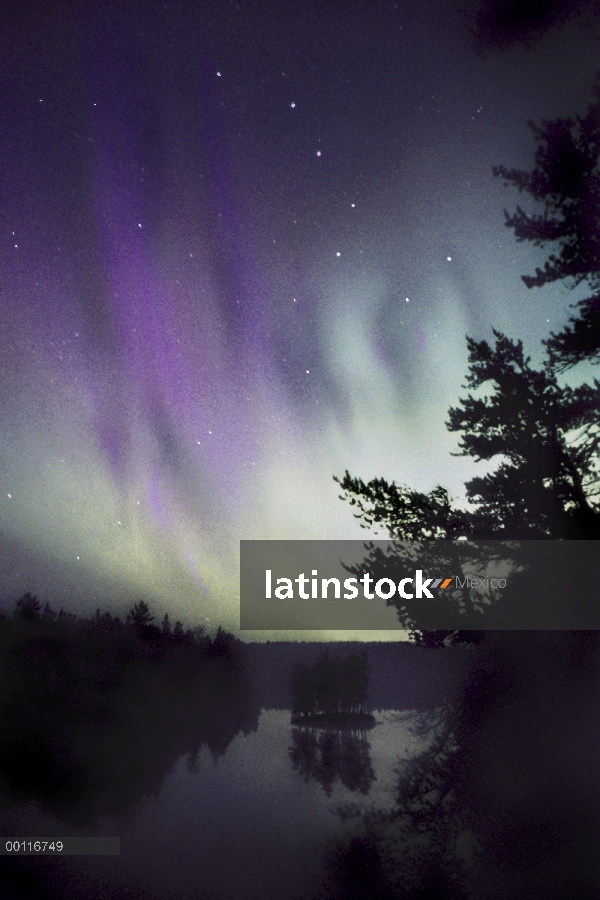 La Osa y la aurora boreal sobre el lago de descubrimiento, límite agua canoa zona desierto, Minnesot