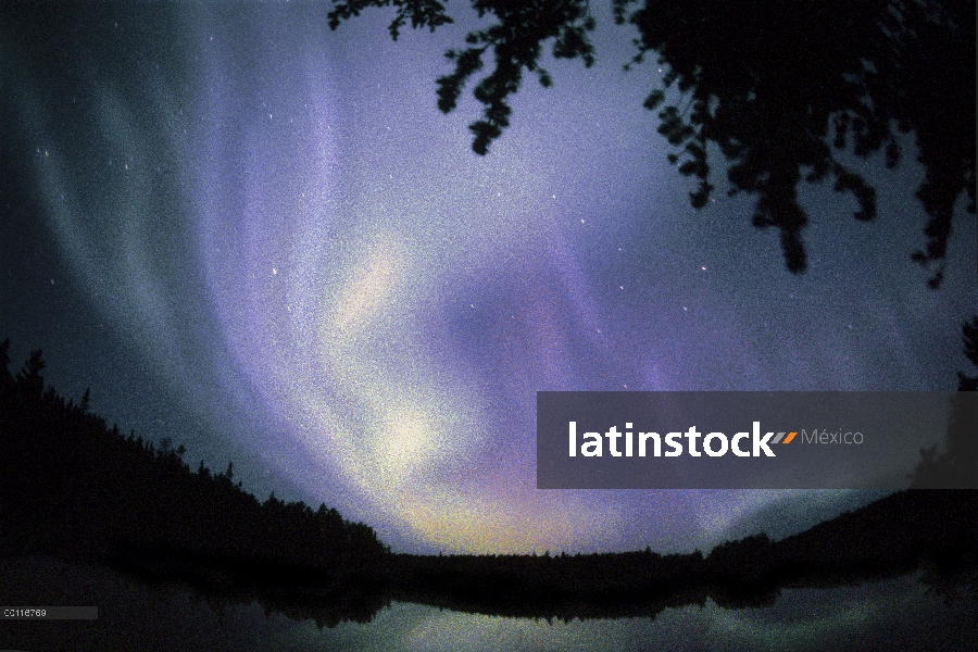 Aurora Boreal, Minnesota