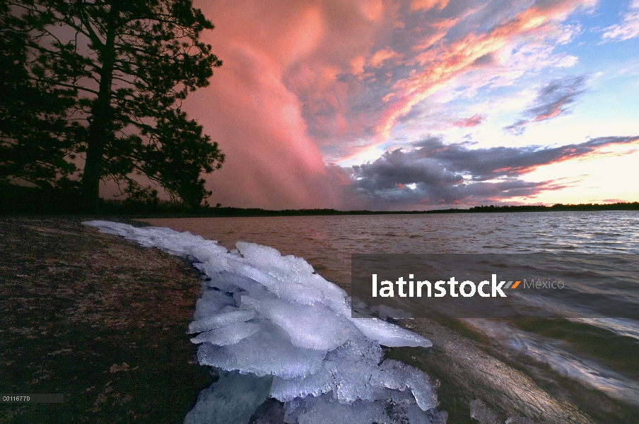 De hielo a lo largo del lago shore de Burntside en puesta del sol, bosque del nacional de Superior, 