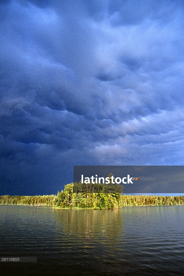 Árboles a lo largo de a orillas del lago iluminado por la luz del sol, Minnesota