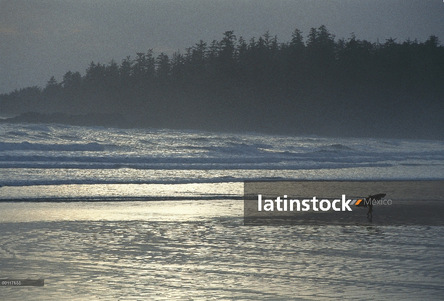 Surfista en playa larga, sonido de Clayoquot, isla de Vancouver, Columbia Británica, Canadá