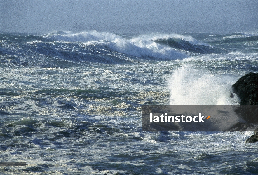 Estrellarse las olas, playa, sonido de Clayoquot, isla de Vancouver, Columbia Británica, Canadá