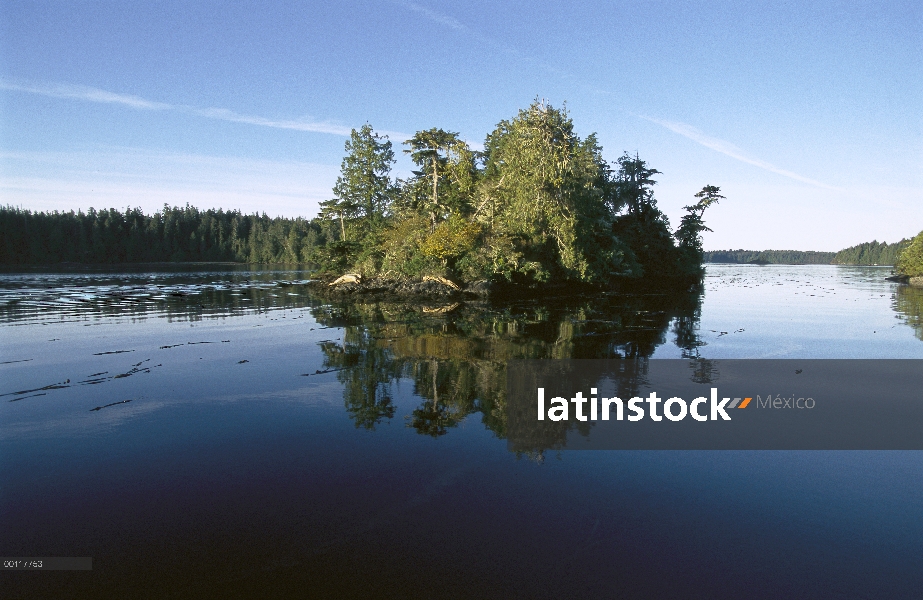 Clayoquot Sound, isla de Vancouver, Columbia Británica, Canadá