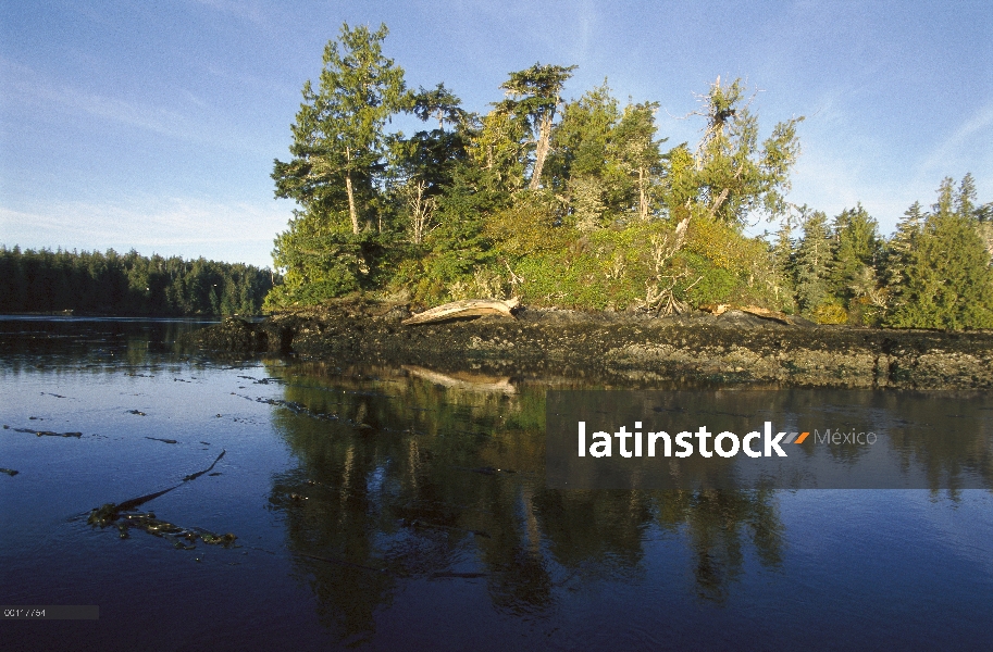 Clayoquot Sound, isla de Vancouver, Columbia Británica, Canadá