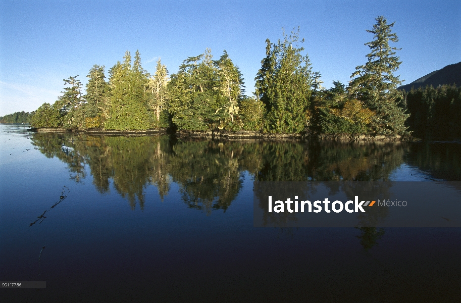 Clayoquot Sound, isla de Vancouver, Columbia Británica, Canadá