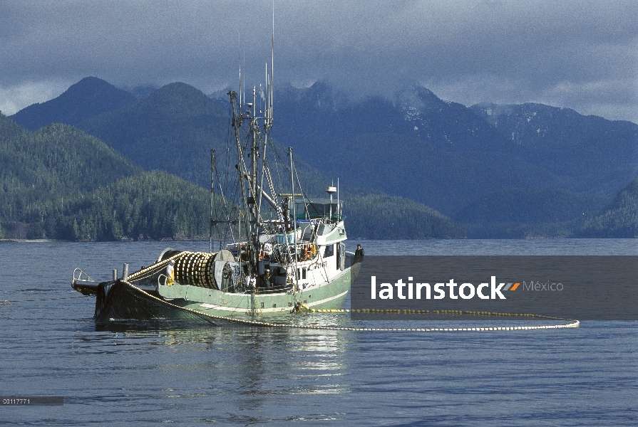 Pesca de cerco para salmón, sonido de Clayoquot, isla de Vancouver, Columbia Británica, Canadá