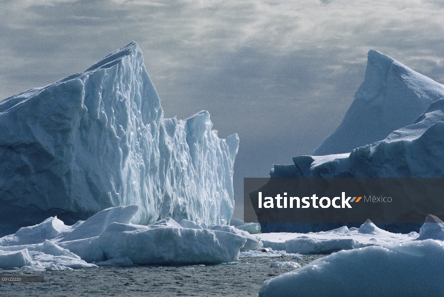 Icebergs y témpanos de hielo en el mar de Weddell, Antártida