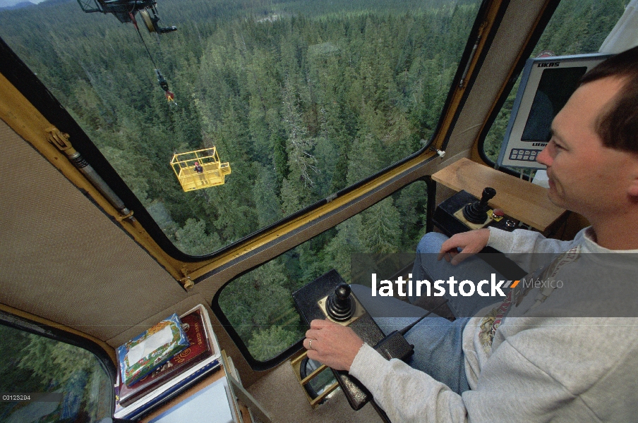 Investigadores pilotando grúa y góndola sobre el dosel del bosque lluvioso templado, Wind River, Was