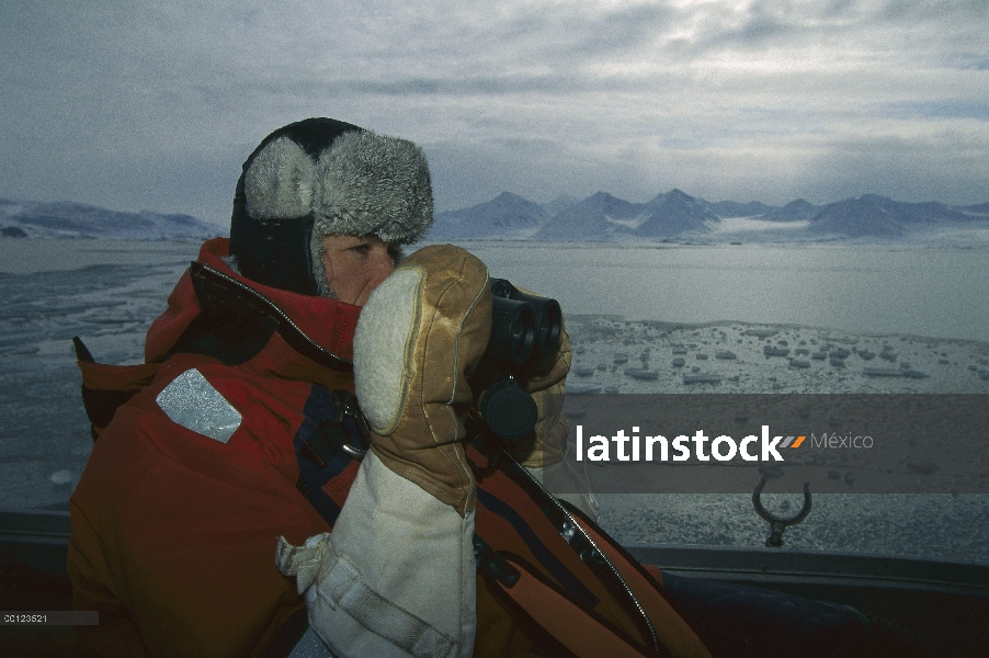 Barbudo investigador de sello (Erignathus barbatus) Kit Novaks viendo personas, Svalbard, Noruega