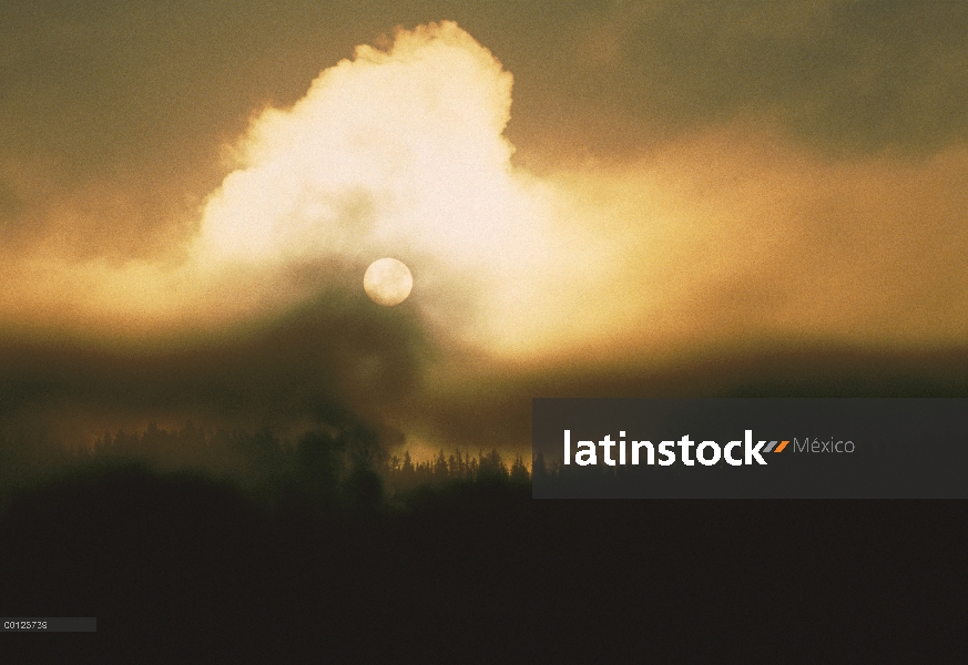 Las nubes y la salida del sol sobre el bosque, Parque Nacional de Yellowstone, Wyoming