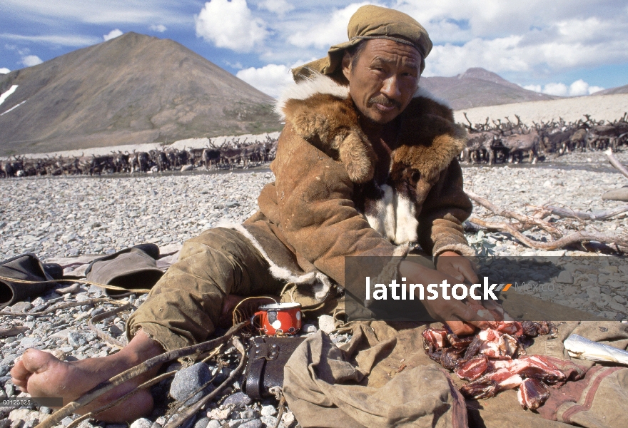 Carne de caribú (Rangifer tarandus) preparado por el pastor de caribú, Siberia, Rusia