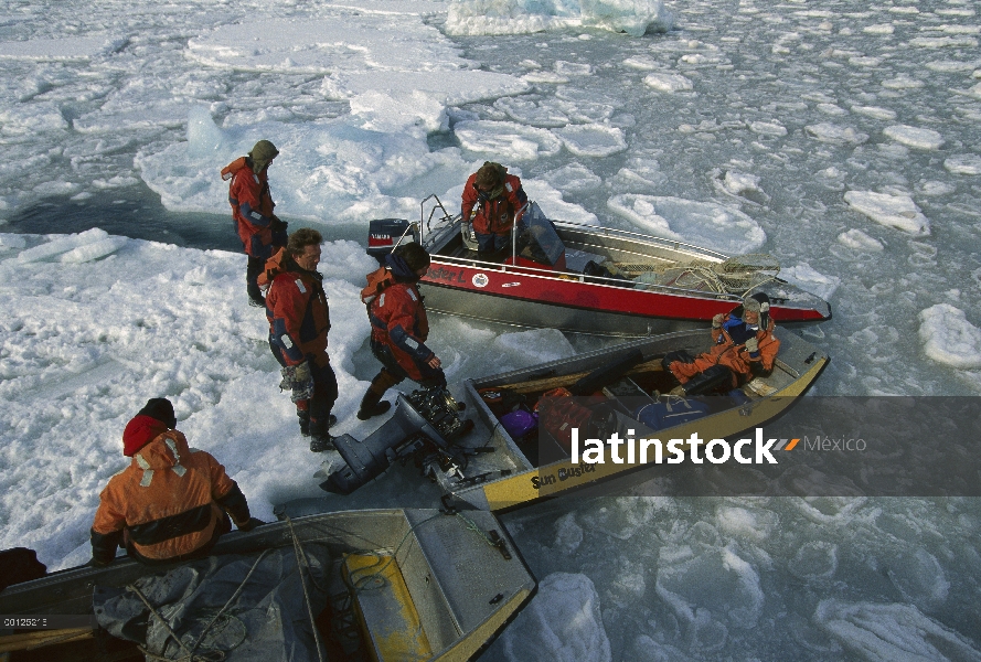 Barbudo sello (Erignathus barbatus) suprimido de los investigadores para buscar sellos, Svalbard, No