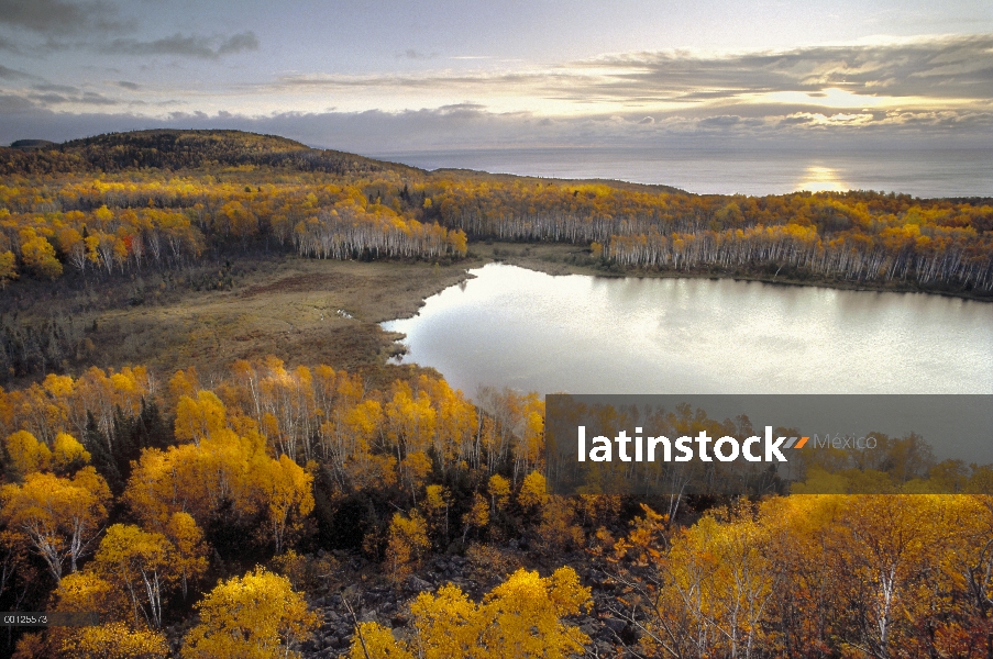 Cuervo lago rodeado de otoño coloreada bosque, Minnesota