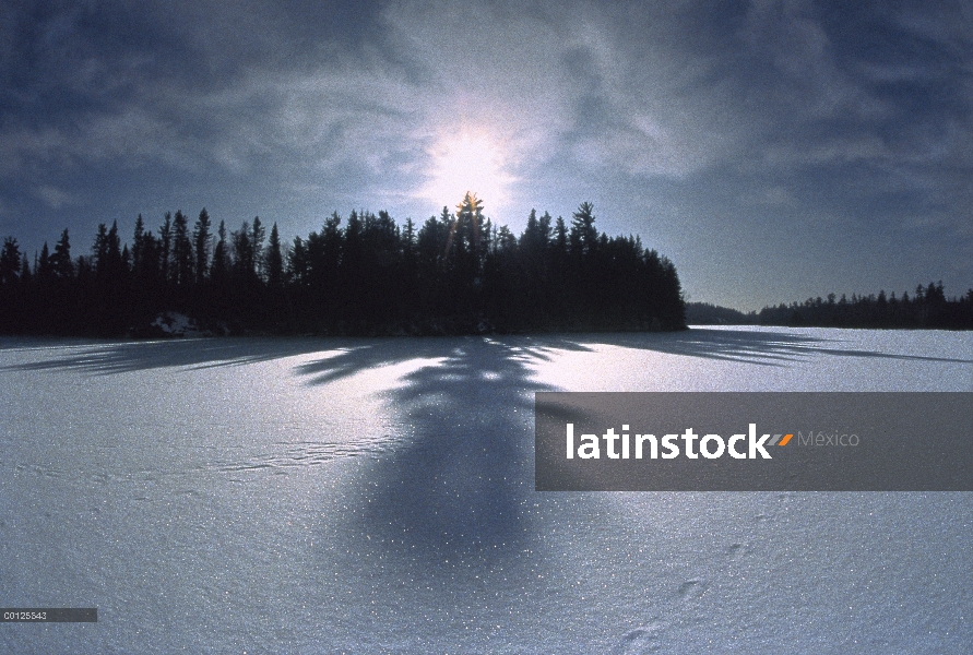 Lago congelado rodeado de bosque de coníferas en el día más corto del año, Minnesota