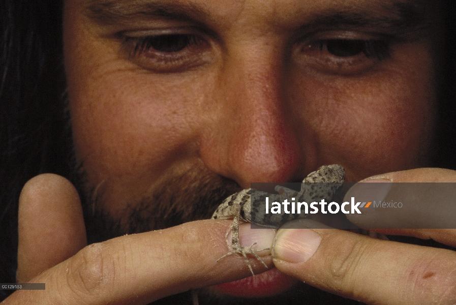 Herpetólogo Bob Macy con una nueva especie de lagarto, Irán