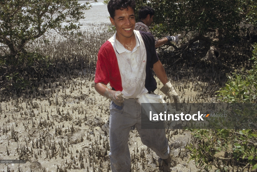 Investigador de la rata negra (Rattus rattus) Hadi Fahini con rata capturados viven en manglar, raíc