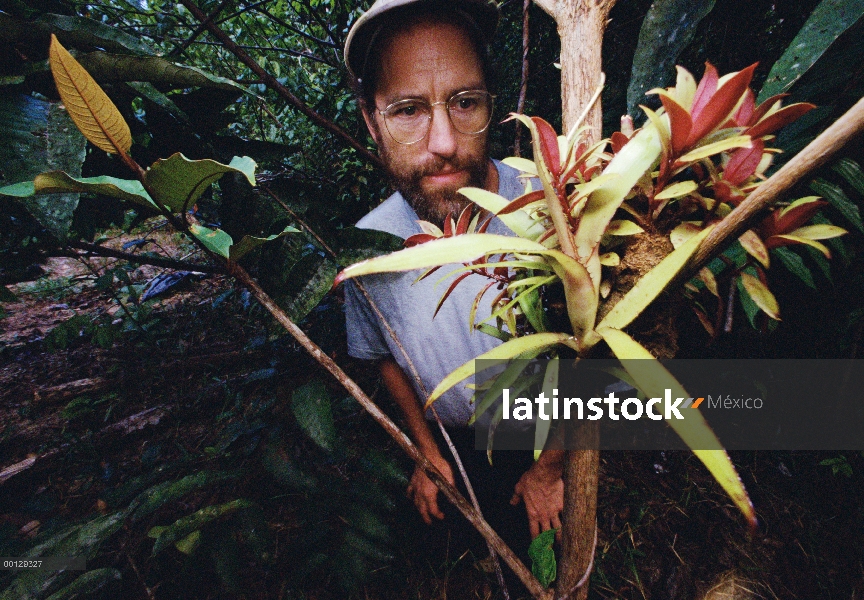 Investigador de la hormiga, Gary Alpert observando jardín ant, Guayana francesa