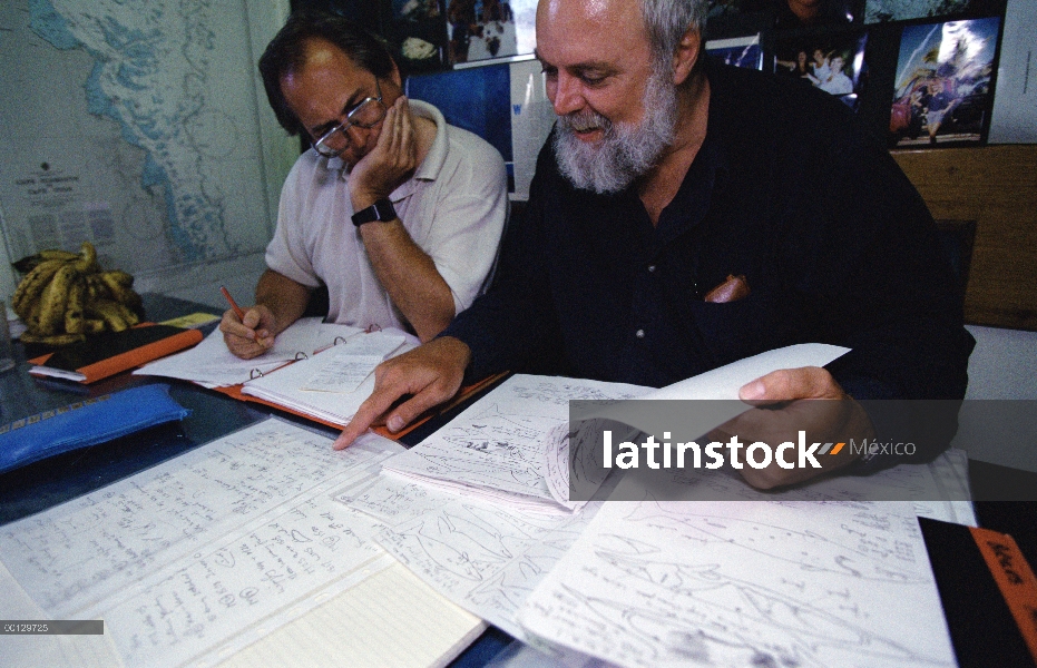 Enano ballena Minke (Balaenoptera acutorostrata) los investigadores Peter Arnold y Alistair Birtles 