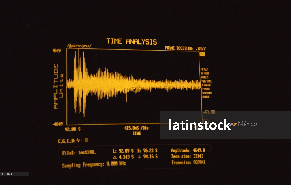 Enana del sonogram de vocalización de ballena de Minke (Balaenoptera acutorostrata) tomado por el in