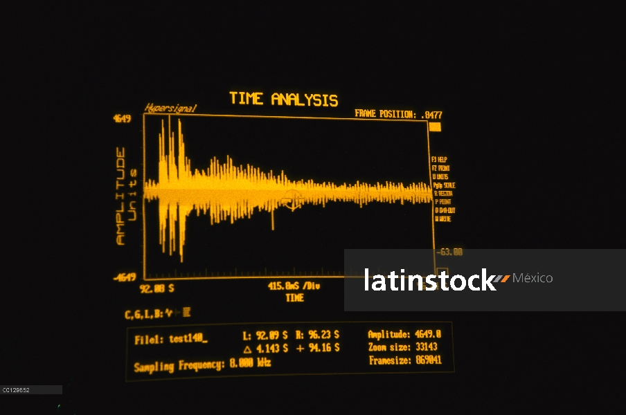 Enana del sonogram de vocalización de ballena de Minke (Balaenoptera acutorostrata) tomado por el in