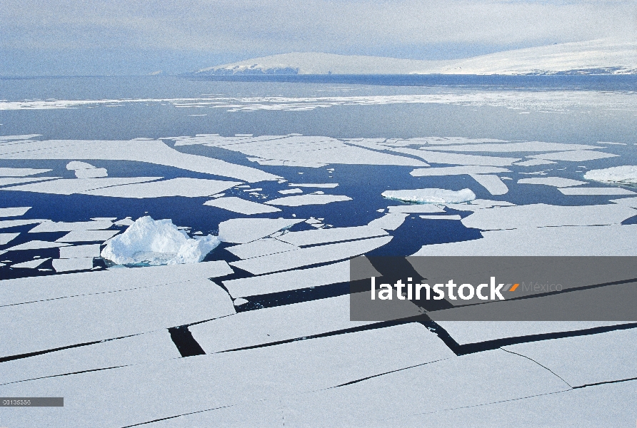 Iceberg entre hojas parten de hielo, témpanos de hielo desprenderse del borde de hielo en verano, so