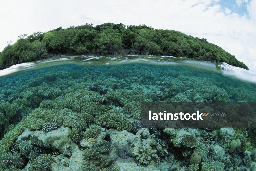 Los arrecifes de coral y tropical isla famosas inmersiones, Palau