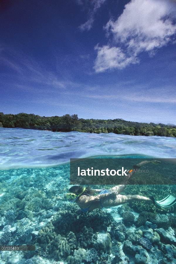 Los arrecifes de coral, buceador e isla tropical, Palau