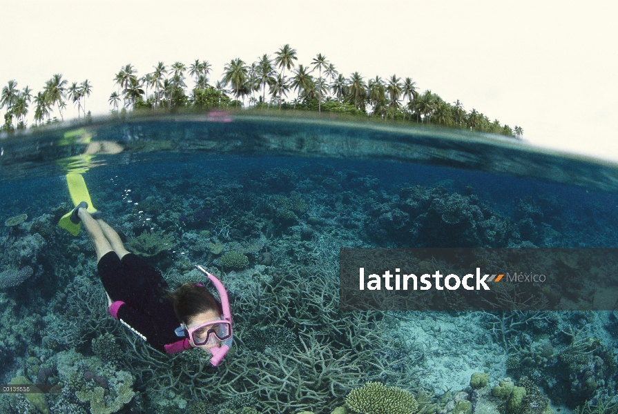 Buceador buceo alrededor de la isla tropical, las Islas Salomón