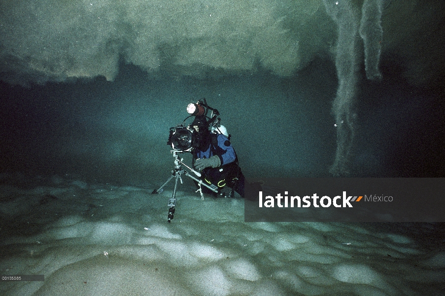 Norbert Wu fotografiando bajo el hielo en la Antártida en estante de un iceberg, mar y salmuera cana